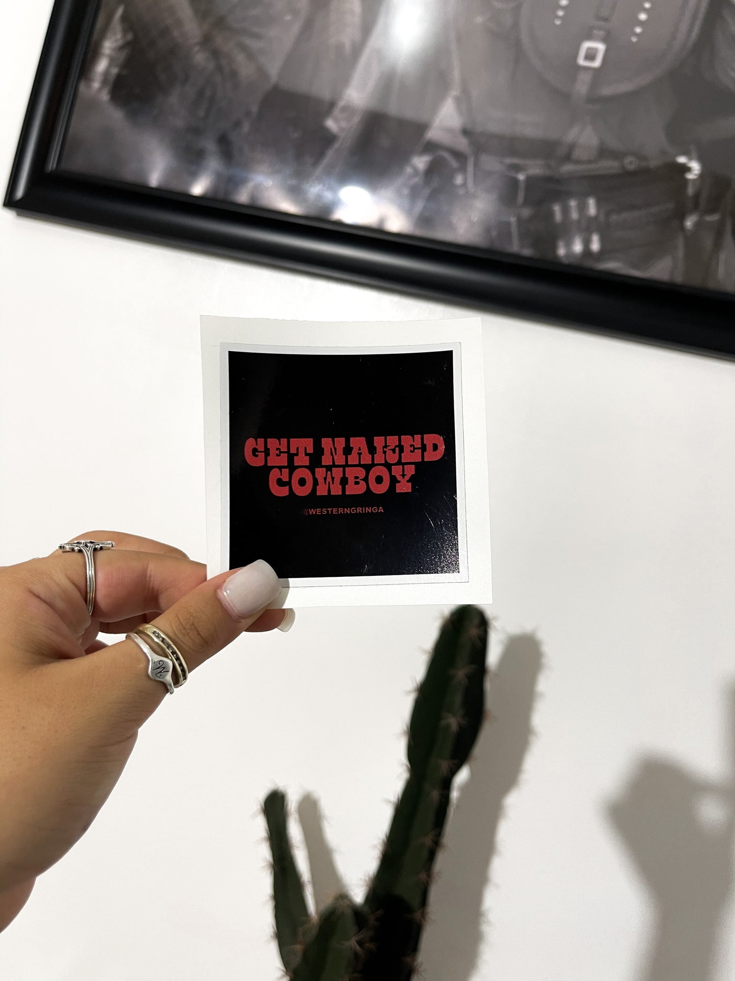 get naked cowboy sticker